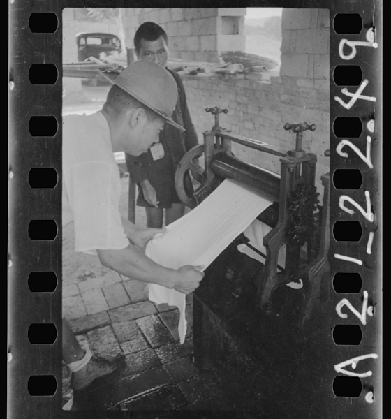 Gomunokihakainantounimewofuita