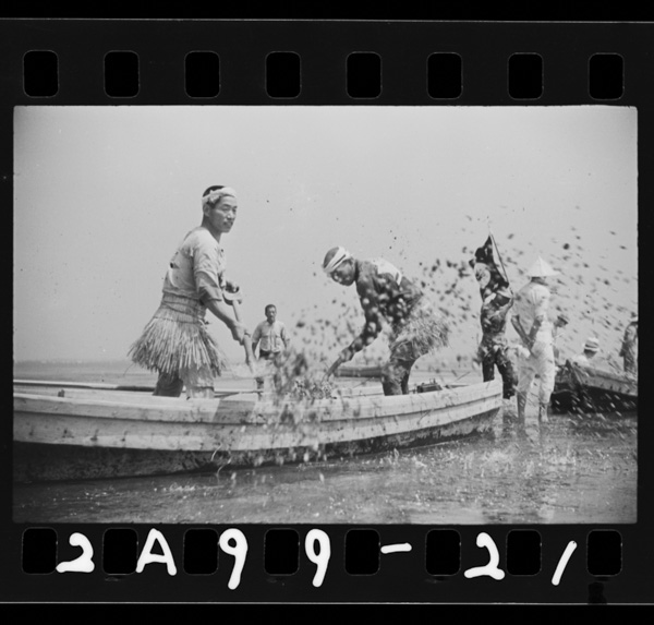 貝を増産 海のトラクター ジャパンサーチ