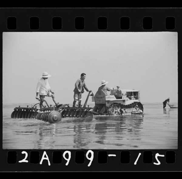 Kaiwozousan uminotorakutā