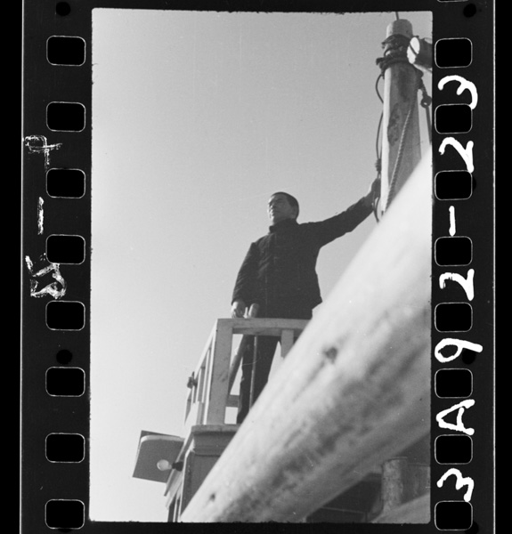 かもめだ いわしだ 大漁 燃料不足を乗切って戦う金華山沖の鰮船