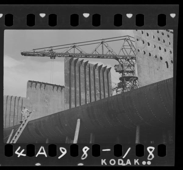 Senjihyoujunsenkenzouhasusumu