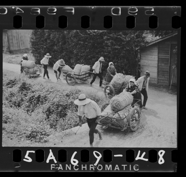 豊年満作を一刻も早くお国の穀倉へ