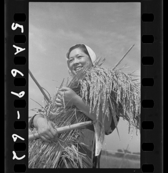 Hounenmansakuwoikkokumohayakuokuninokokusouhe