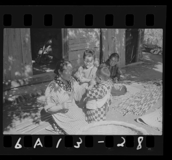 Yaginoochichiwoakachanhe