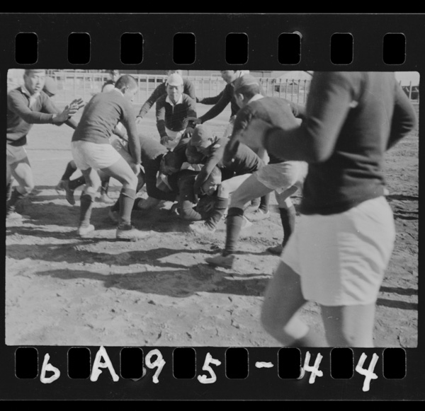 Uminohinawashihamoukunrenwoshiteiruga