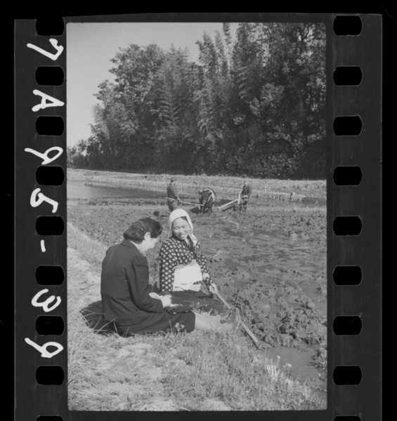 Undakohakanarazusodateyou