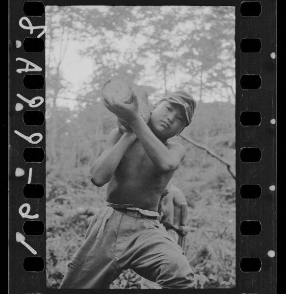 Fuyunisonaeteenshonisumiwoyaku aomorikengoshogawaranougakkouseito