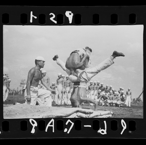 Arawashininaruatamatokaradawo