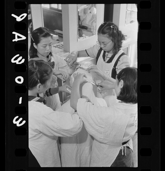 Shokubahenoshinshutsunihamazugijutsuwo