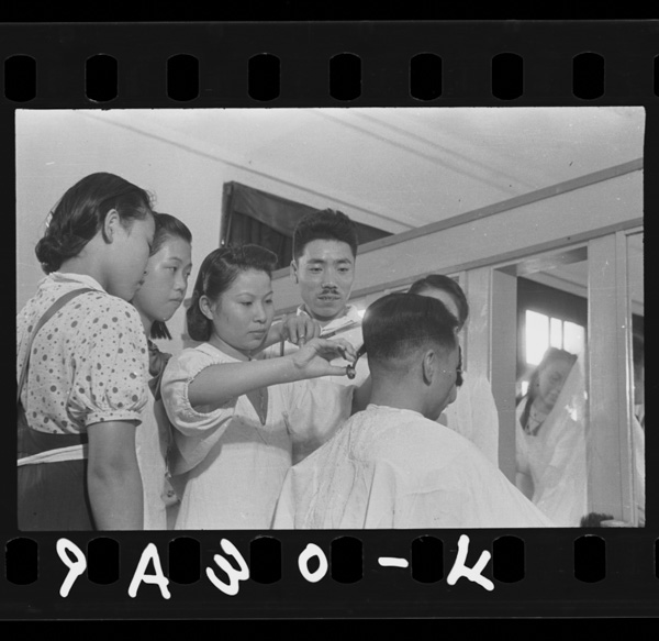 Shokubahenoshinshutsunihamazugijutsuwo