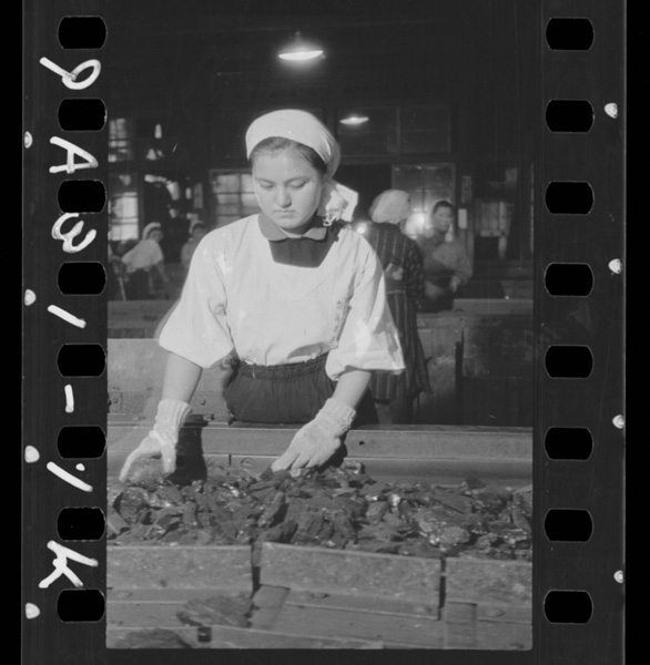 Ryoukenoshijomokanzenhiruyorukenkousagyou kogatankouyoshimakouryoushoniokerujoshikinrouhoukokutai