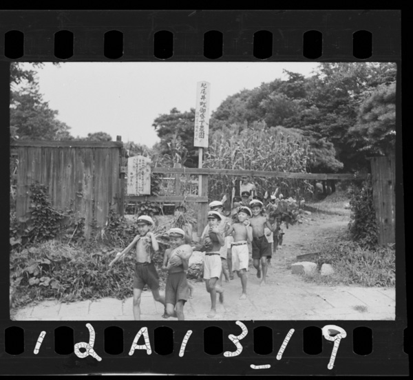 一握りの土も畑にした帝都の戦時農園見事に稔る