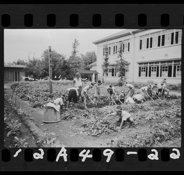 Homarenoiewomamoruyoikotachi