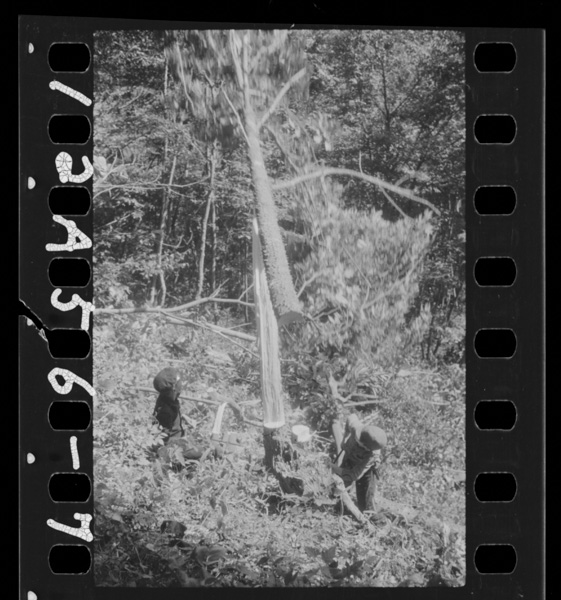 Sumiyakuhitobitohazousannihisshida