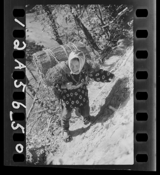 Sumiyakuhitobitohazousannihisshida