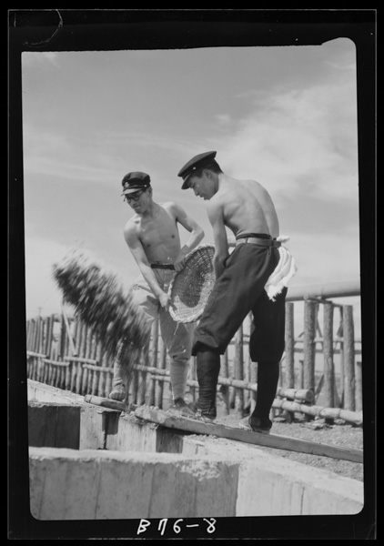 Kononatsukonoudekonokokoro