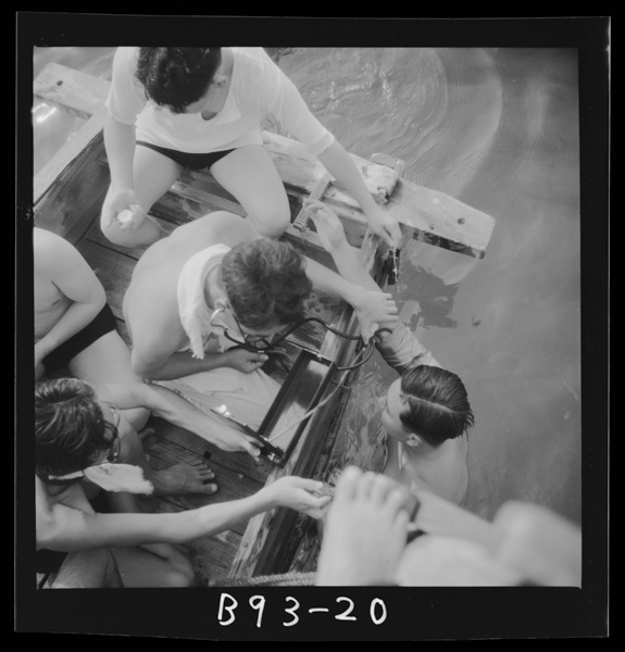 裸か蟲を実験台に