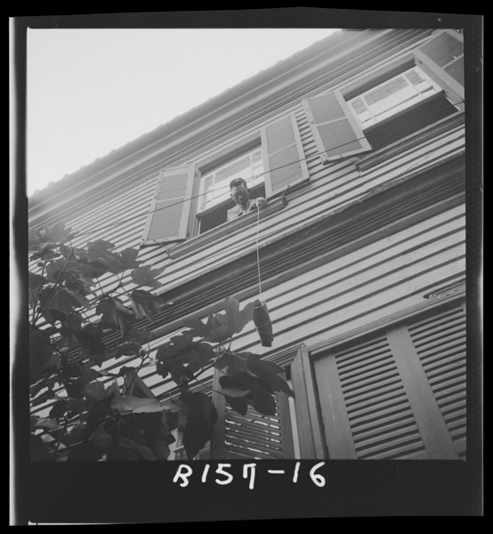 Koubesupaijiken karehadonnaanyakuwoshitaka