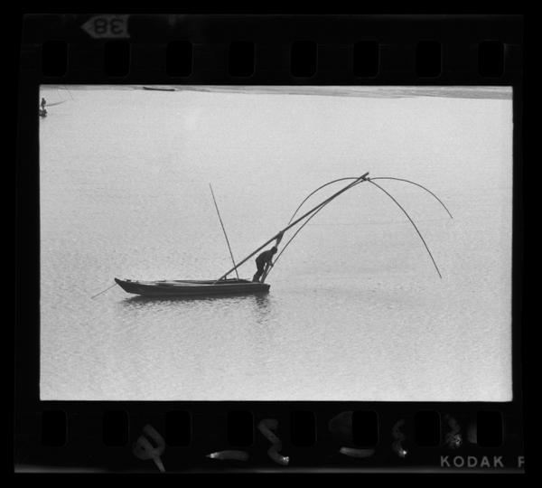 Takahashigawakakouhaharusaki、shirauogatoreru。