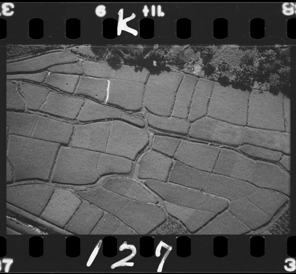 Gokannoseihoku,tsukiyonofukin(shima)