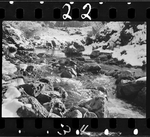 「岩波写真文庫 2 昆虫」掲載 00069-00079-0035