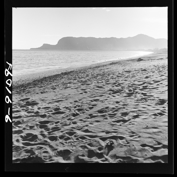 Oomorihama shirasunaniwarenakinurete