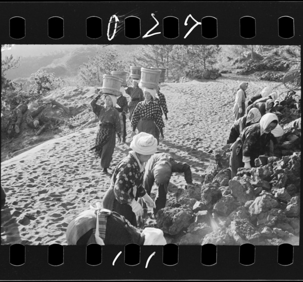 Shitsugyoutaisakujigyou