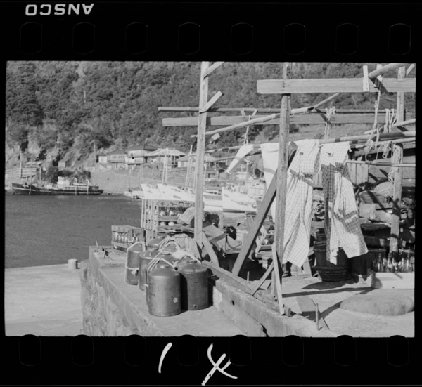 Ryokannomonohoshinoarufuukei