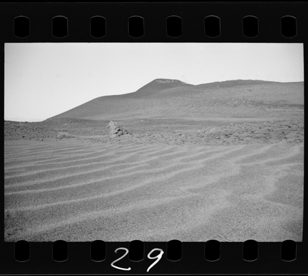 Urasabaku.kuroikazanbai.kuroiirohaenkiseigenbuganshitsuwoarawasu