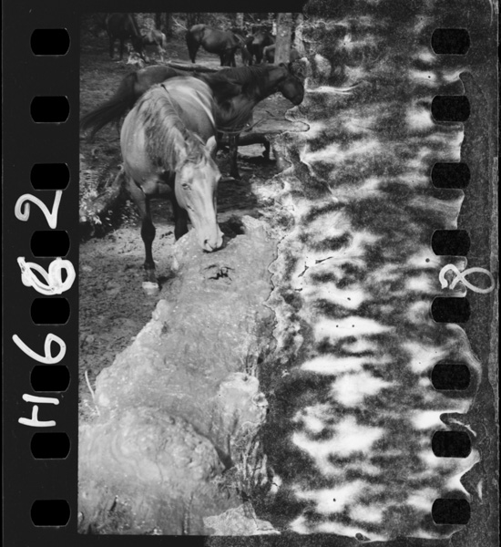 Shioha1nichi1touatariyaku40guramu