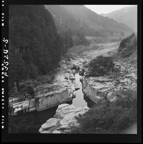 Kisononezamenotoko1noyounameishougamizugatarinaitamekeikangasokonawarerubaaimookoru。