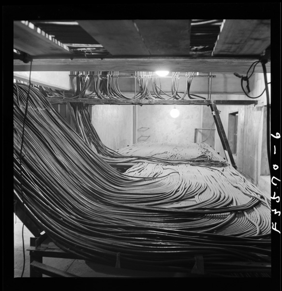 Koreranodensenhaookinatabawonashiteite6marudenagareochirutakinoyounimieru