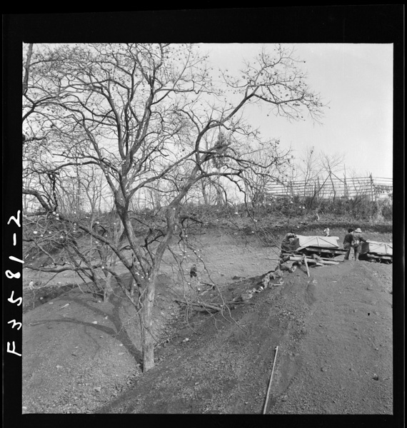 やがて話合いがつくと人々はちりぢりに新しい土地へ移ってゆくが、父祖の眠る墓地4や一本の柿木7にもつきせぬ思い出があろう。