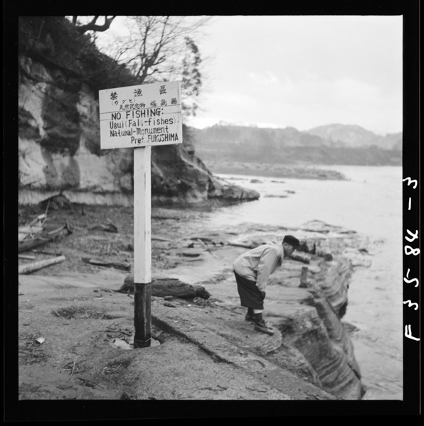 Meisho6motennenkinenbutsu8moseiretsunaizumi9mo、yagatehaminasokonishizumudearou。