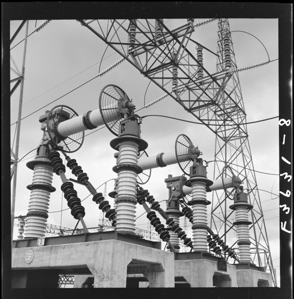 Shuhenatsuki7mo,kokonohachoukouatsuhenatsukitoyobare,25manborutodehaittekitamonowo7manborutonikaeru.