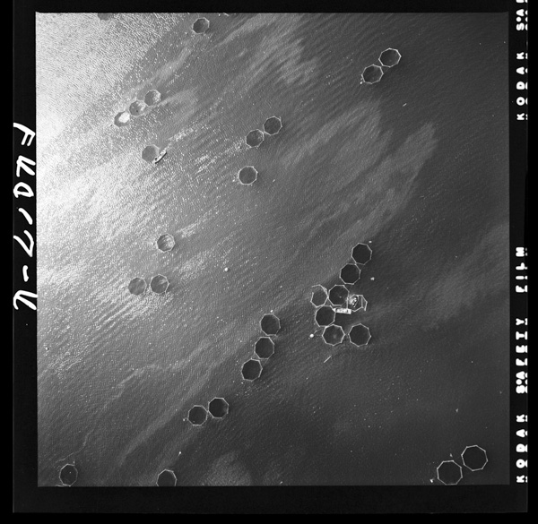 4hauminonakanitsukuraretaikesu