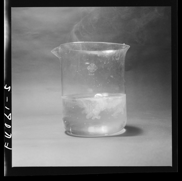 Mizuniuitehageshikumoerunatoriumu