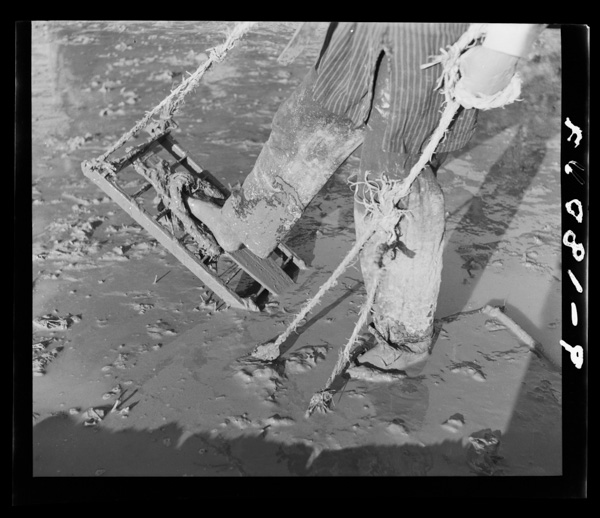 2 tagetahaoashitoyobareteiru