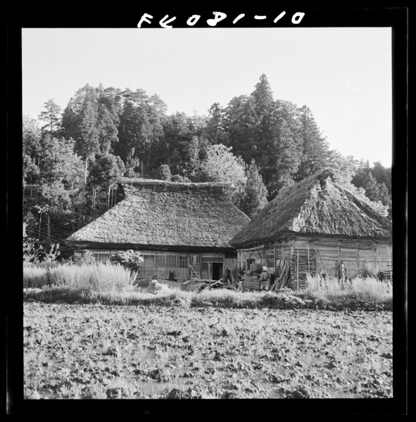 6 noukahahoukenjidainokaikyuuniyoriookisagachigau