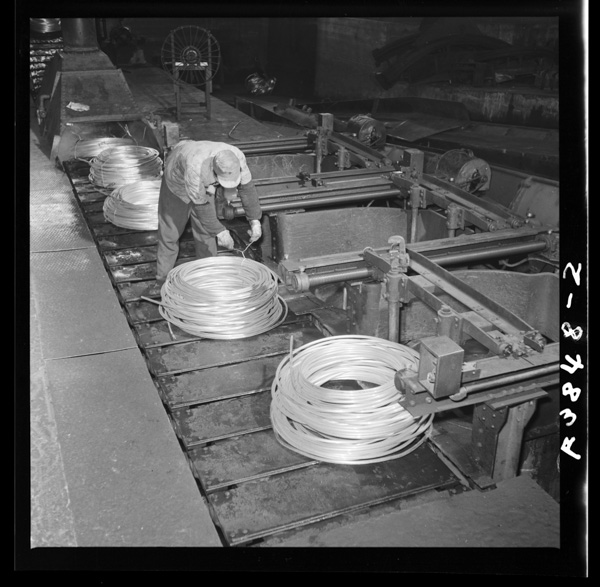 水で冷やされて線引きに廻る