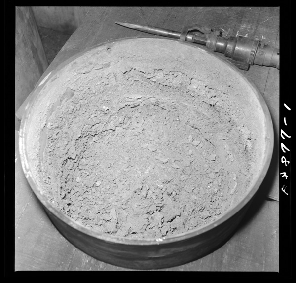 Nankouseiyoukinonakanidekiru