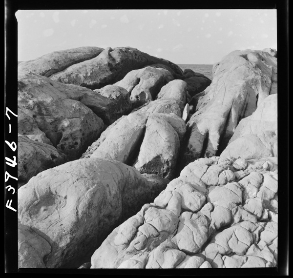 Wajimamisaki,ryuukikaishokugan