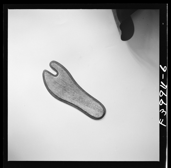 Hariawasetanakazokotoshinsoko