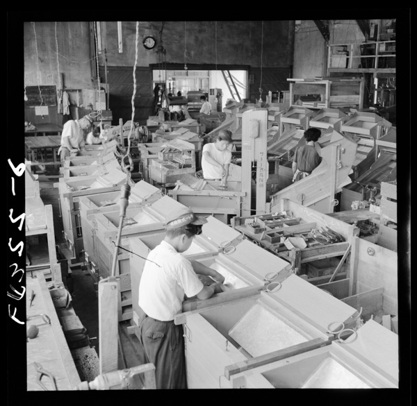 Hirosechounokitanoiyamachiha,mihonosekichoutodouyoutorinikukeiranwotabenaikishuutonoukigunoseisaku 2 deshirareteiru