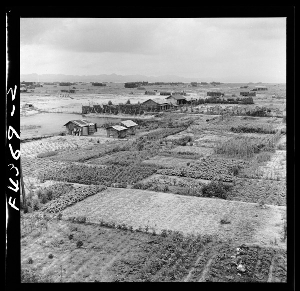 3 hashinkawatonoshinkaichi,shoubaramurafukindearu