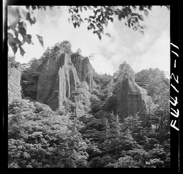 Shimanehantoumomeishounitondeiruga,hondogawanihaizumoichitosendensareteirutakue1 4 gaaru