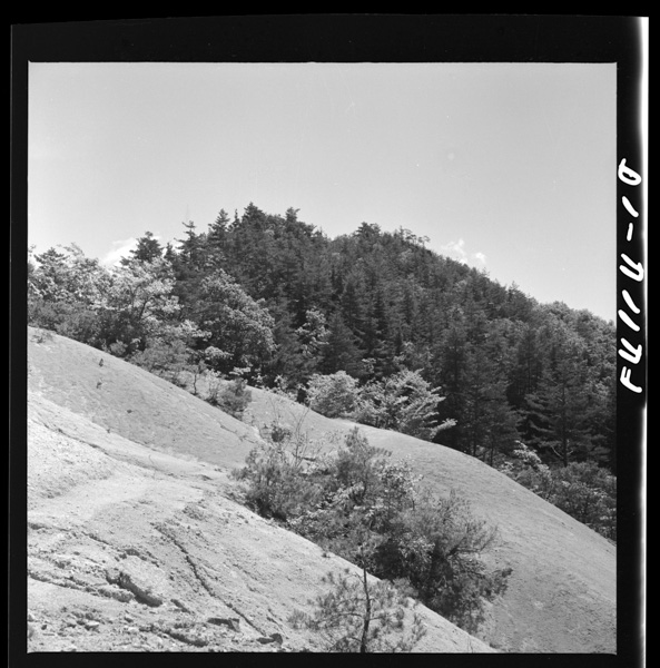 Touji,takayamabonchinihahigashininabeyamashinonabejou 1 ari,nishinimikishinomatsukurashiro( 5 tenshuato, 6 ishigaki, 7 joushiyoritakayamashiwonozomu) ari,senrangatsuzuita