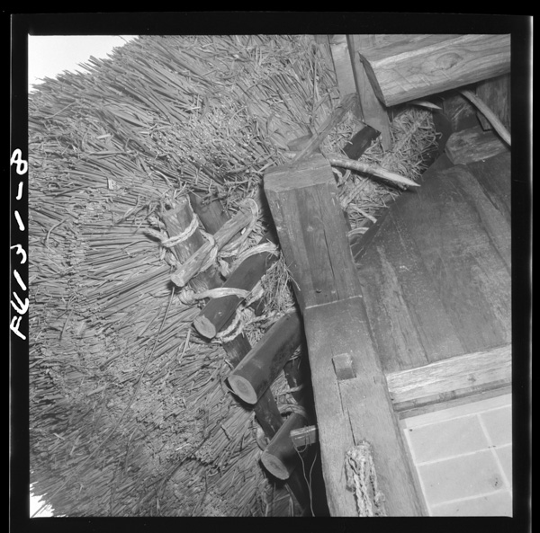 Miboronotooyamake nesoyashinadekatakushimeta 6 gasshounifuitamenoatsumiha 3、yuunisanjakuwokoeru。