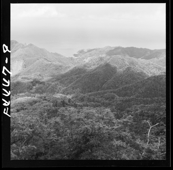 Daimanjisankara 1 higashinihafusemurawo