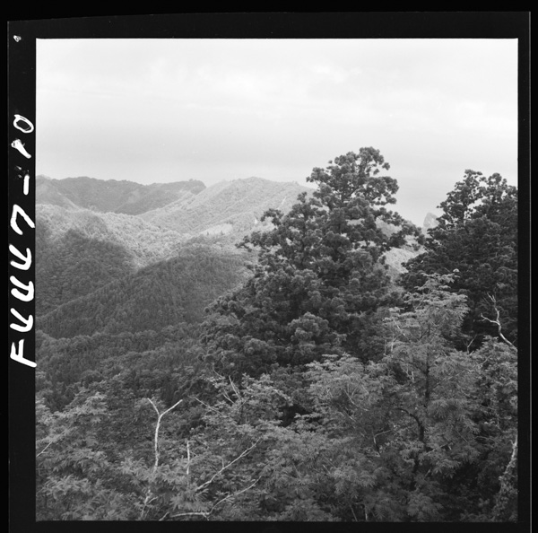 Daimanjisankara 1 higashinihafusemurawo